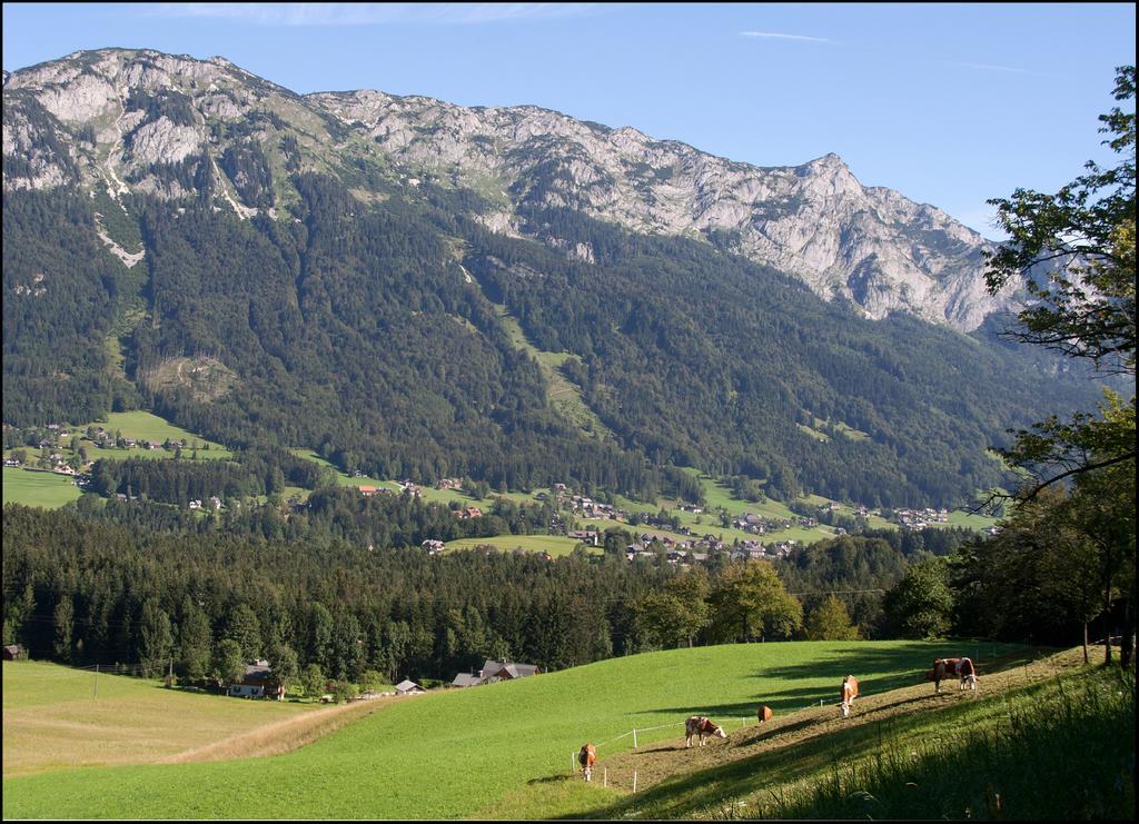 Kalssnhof Apartment Bad Aussee Bagian luar foto